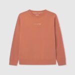pulover din bumbac colorat băiat Pepe Jeans portocala de dovleac 6Z0R461602