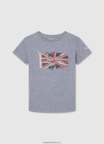 tricou cu steag și logo băiat Pepe Jeans marnă cenușie 6Z0R461635